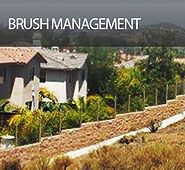 Brush Management